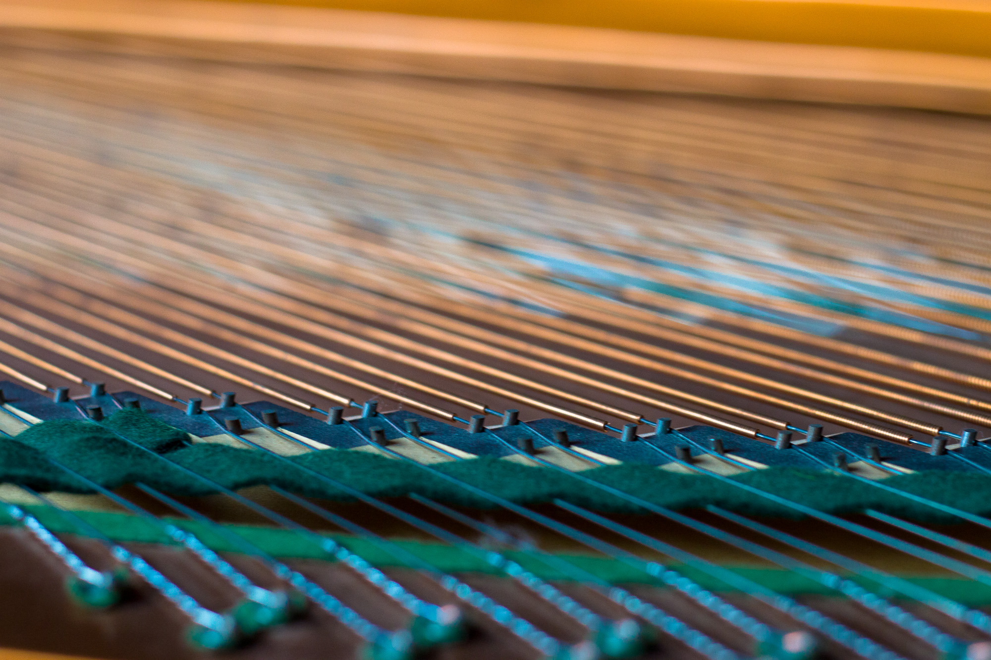 Sheffield piano tuner main banner image piano strings